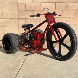 maxis trike mini